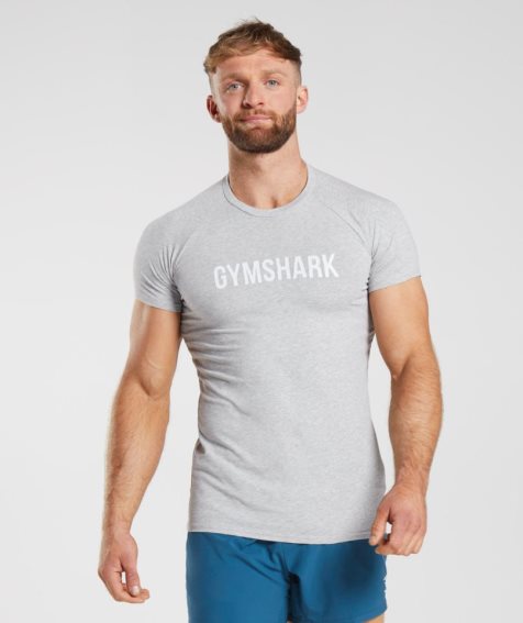 Koszulki Gymshark Apollo Męskie Głęboka Szare | PL 705SZT